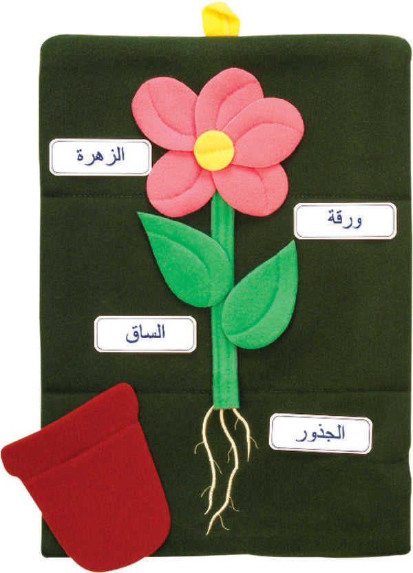 Foldaway Flower - Arabic