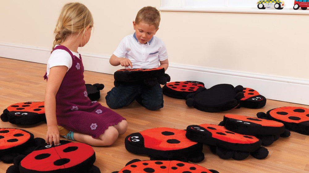Back to Nature™ Counting Ladybird Story Cushion Family  For Schools